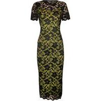 New Plus Size Womens Lace Lined Ladies Short Sleeve Bodycon Midi Dress 14-28 - Lime