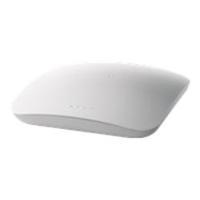 NetGear ProSafe Wireless-N Access Point