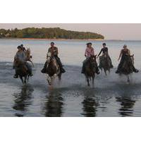 Niagara Falls Horseback Riding