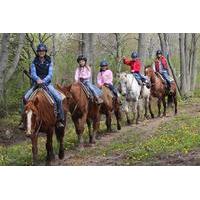 Niagara Beach Horseback Ride