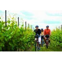 Niagara Winery Bicycle Tour with Cheese