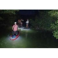Night Tour With Lighted Paddles and Boards