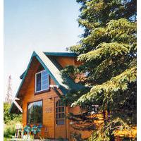 Ninilchik Cabins and Fish Camp