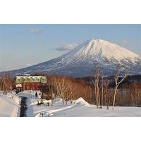 Niseko Freedom Inn
