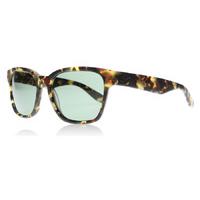 Nike EV0877 Sunglasses Matte Tortoise 203