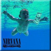 Nirvana Nevermind Album Cover Floating Baby Fridge Magnet