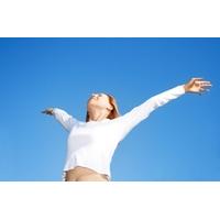 Nikken Magnetic Therapy