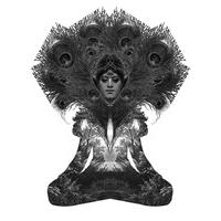 Night\'s Dream By Dan Hillier