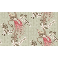 Nina Campbell Wallpapers Paradis...