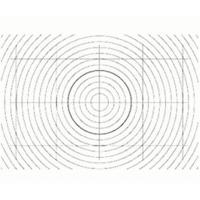 Nikon Focusing Screen F6