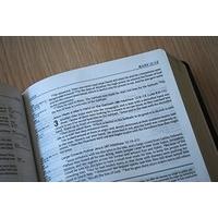 NIV Compact Life Application Study Bible (Anglicised): Leather