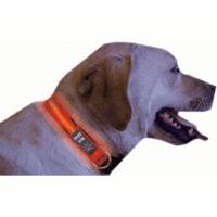 Nite Ize Dog Collar S