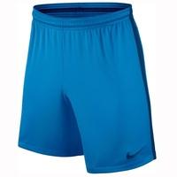 Nike Squad Shorts - Lt Photo Blue/Binary Blue, Blue