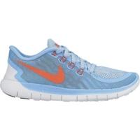 Nike Free 5.0 2015 GS lakeside/blue lagoon/pure platinum/bright crimson