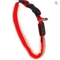 Nite Ize Nite Dawg LED Dog Collar (Small) - Colour: Red
