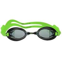 Nike Chrome Swimming Goggles