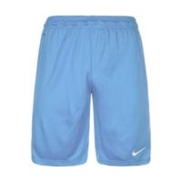 Nike Park II Shorts light blue