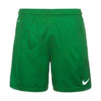 Nike Park Dri-Fit Knit Shorts pine green