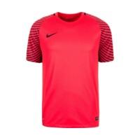 Nike Performance Gardien Goalkeeper Jersey red