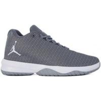 Nike Jordan B. Fly K cool grey/white/wolf grey