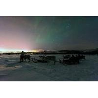 Northern Lights and Reindeer Sledding in Tromso