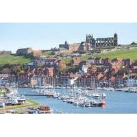 North York Moors and Whitby Day Trip from York