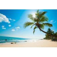 Northern Phu Quoc Day Trip Including Pho Quoc National Park