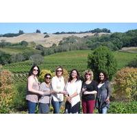 Northern Sonoma Small Group Wine Tour
