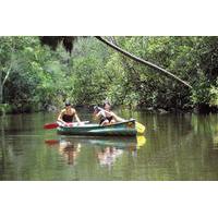 noosa everglades canoe trip with barbecue lunch