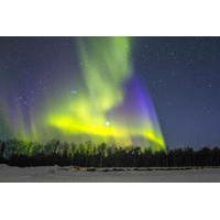 Northern Lights and Chena Hot Springs Tour from Fairbanks