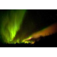 Northern Lights Picnic By Car in Rovaniemi