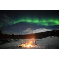 Northern Lights Tour Including Photos Under the Lights in Tromso