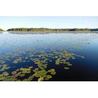 noosa everglades bbq lunch cruise