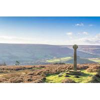 North Yorkshire Moors and Whitby Day Tour from York