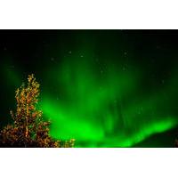 Northern Lights Hunt Including Snacks on Campfire from Rovaniemi