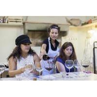 Noble Tuscan Villa Dining Experience with Wine and Olive Oil Tastings