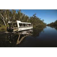 noosa river and everglades afternoon tea cruise