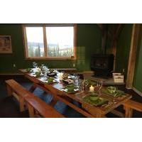 Northern Lights Experience and Cabin Dinner