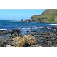 Northern Ireland including Giant\'s Causeway Rail Tour from Dublin