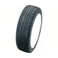 Nokian WR 295/30 R19 100V