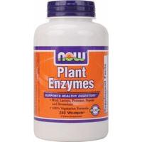 now plant enzymes 240 vcaps