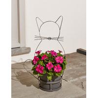 Novelty Cat