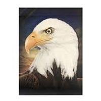 Novelty - 3d Eagle Portrait Poster