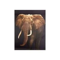 Novelty - 3d Elephant Portrait Poster