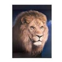 Novelty - 3d Lion Portrait Poster