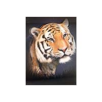 Novelty - 3d Tiger Portrait Poster