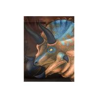 Novelty - 3d Triceratops Portrait Poster