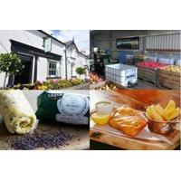 northern irelands famous food and drink tour