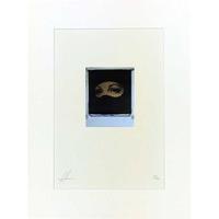 Nothing To Hide  24crt Gold Leaf Collage By Andrew Millar