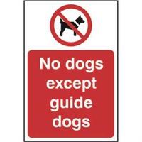 No Dogs Except Guide Dogs Sign - SAV (200mm x 300mm)